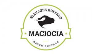 logo Elevages Buffalo Maciocia
